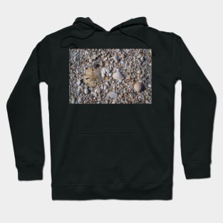 Sanibel Beach Hoodie